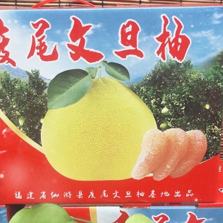 莆仙度尾正宗文旦柚