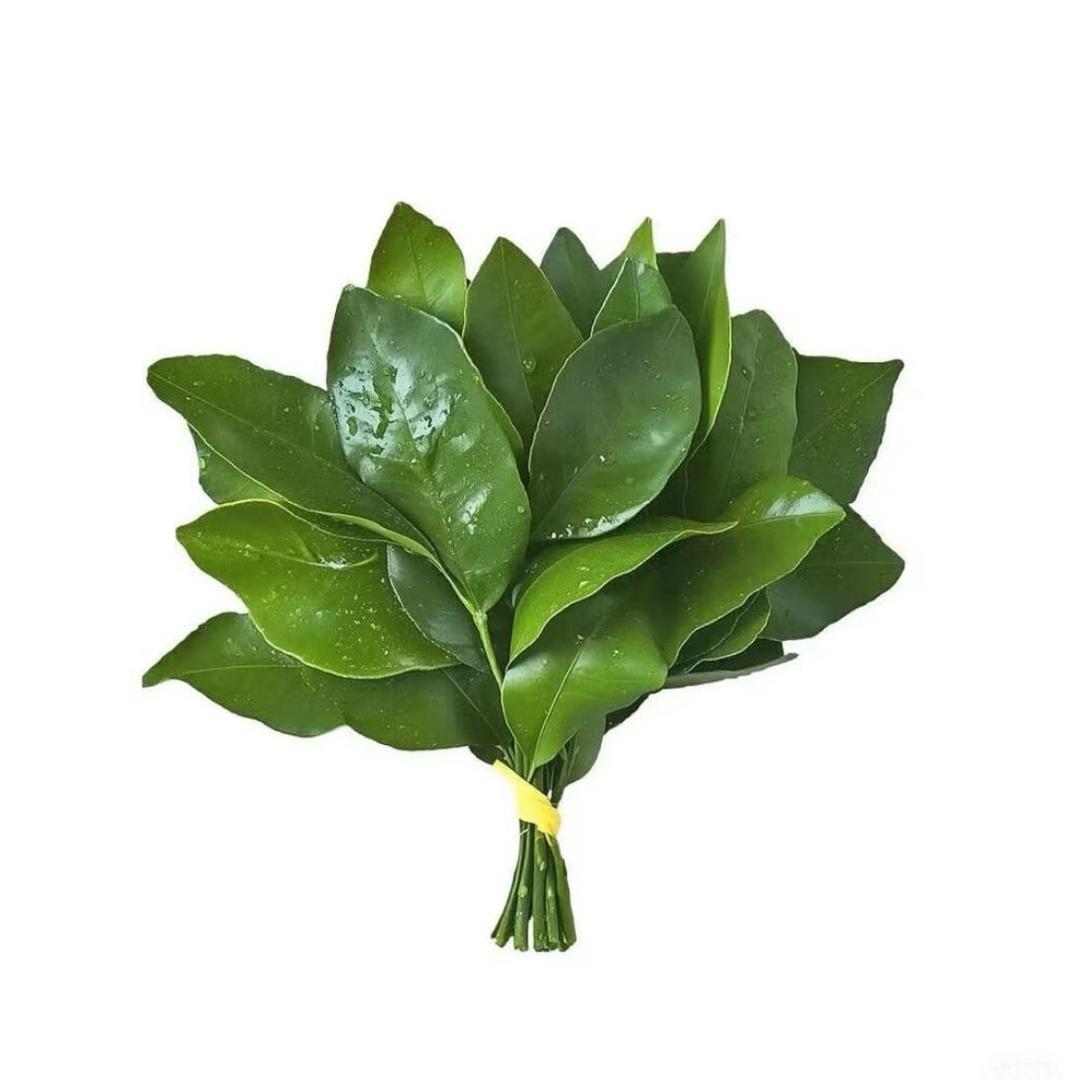 Lyc