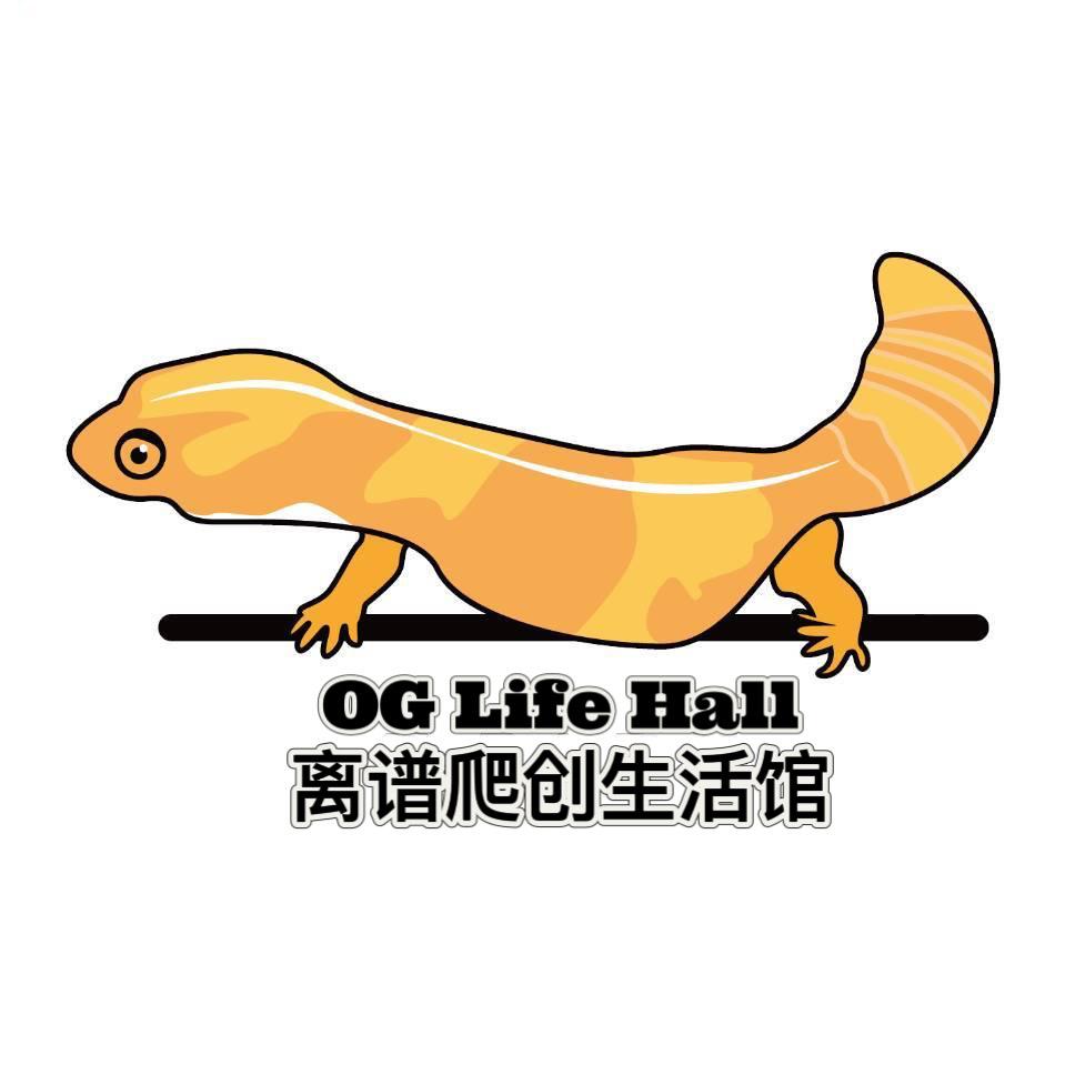 离谱爬创生活馆