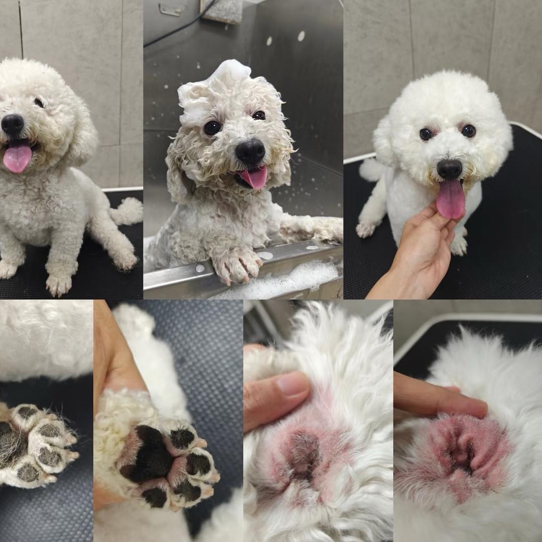 派哒哒宠物用品工厂店