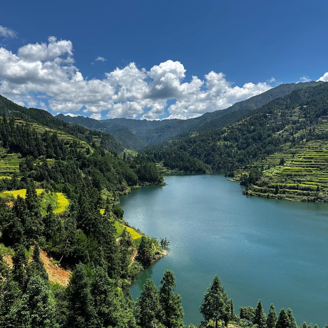 没有你可怎么办