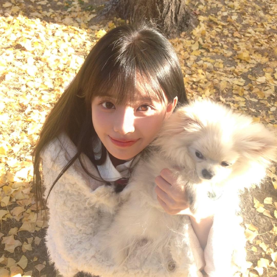 莓哒妹妹