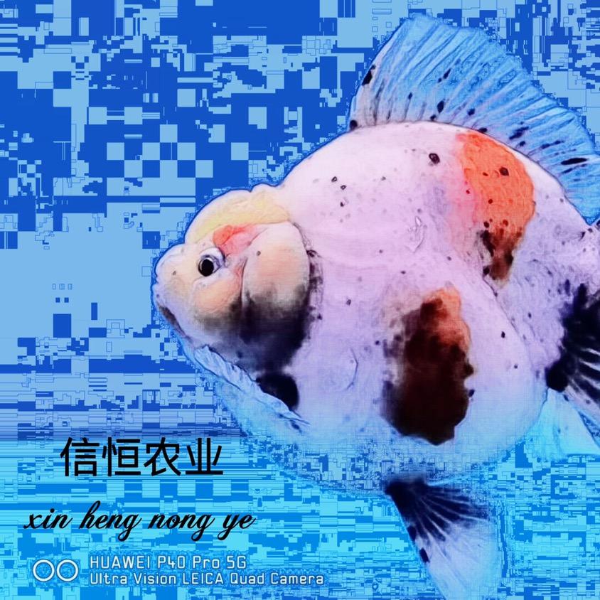信恒农业