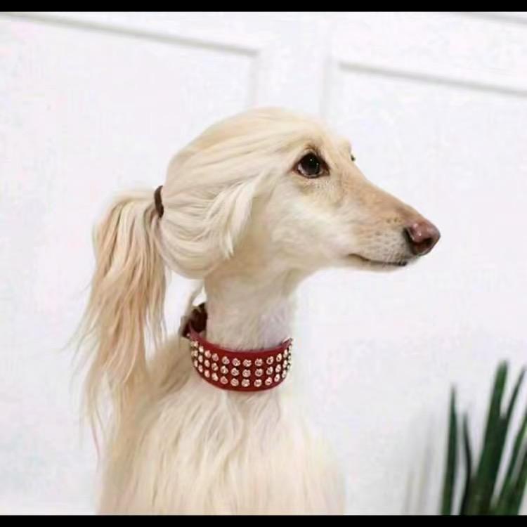 芳心纵火犯