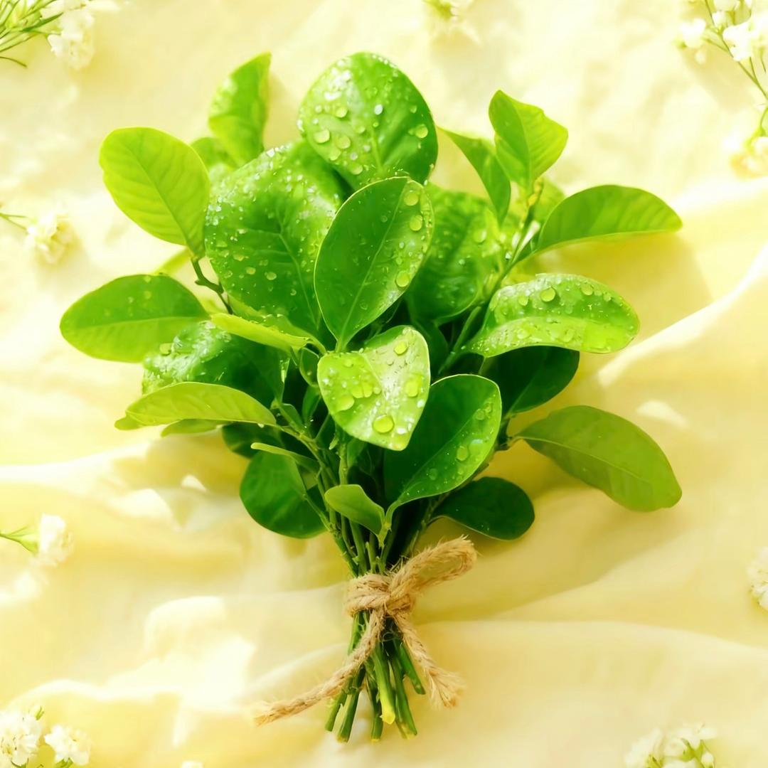 徐个愿🍀