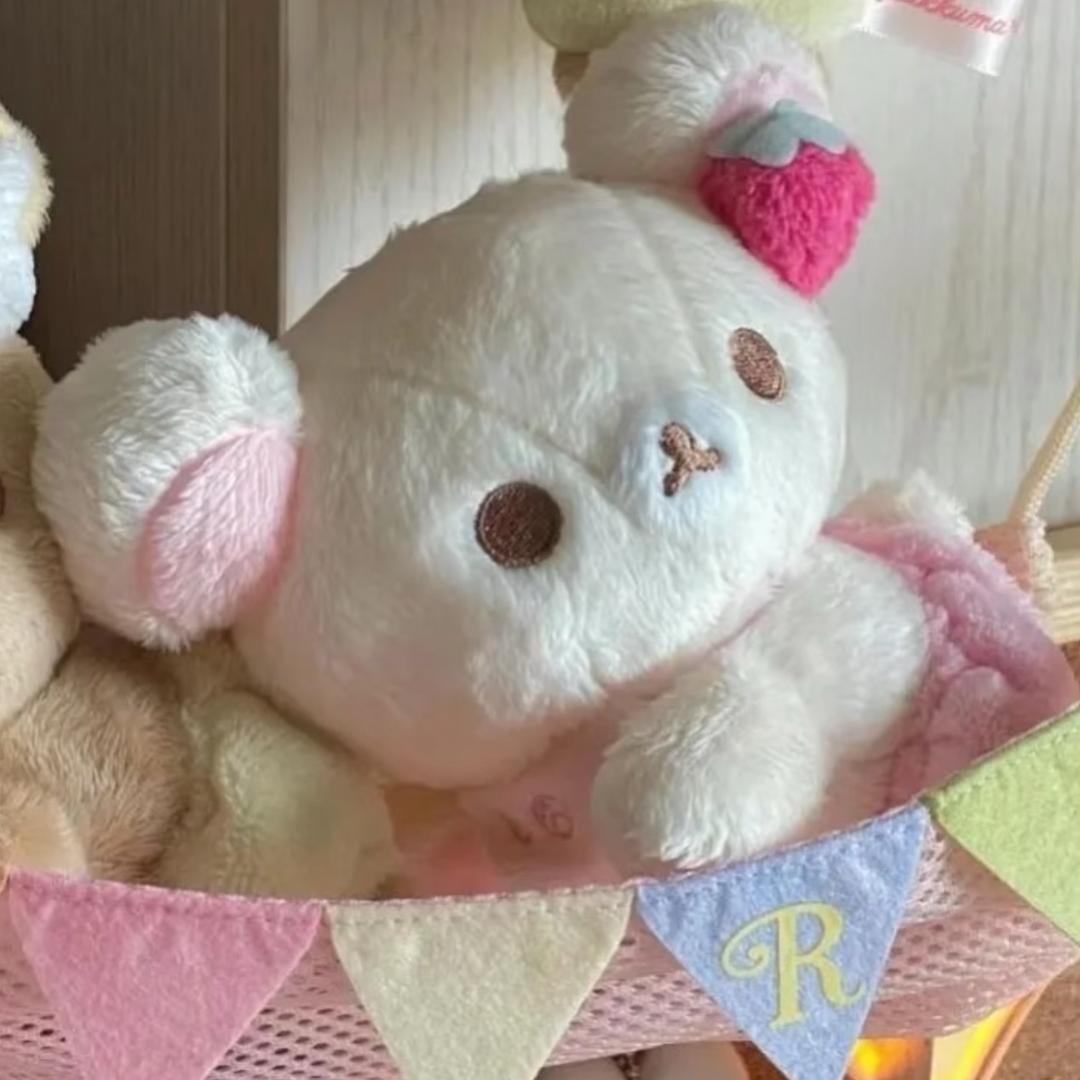 小董不懂