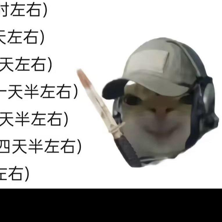 跑刀鼠鼠