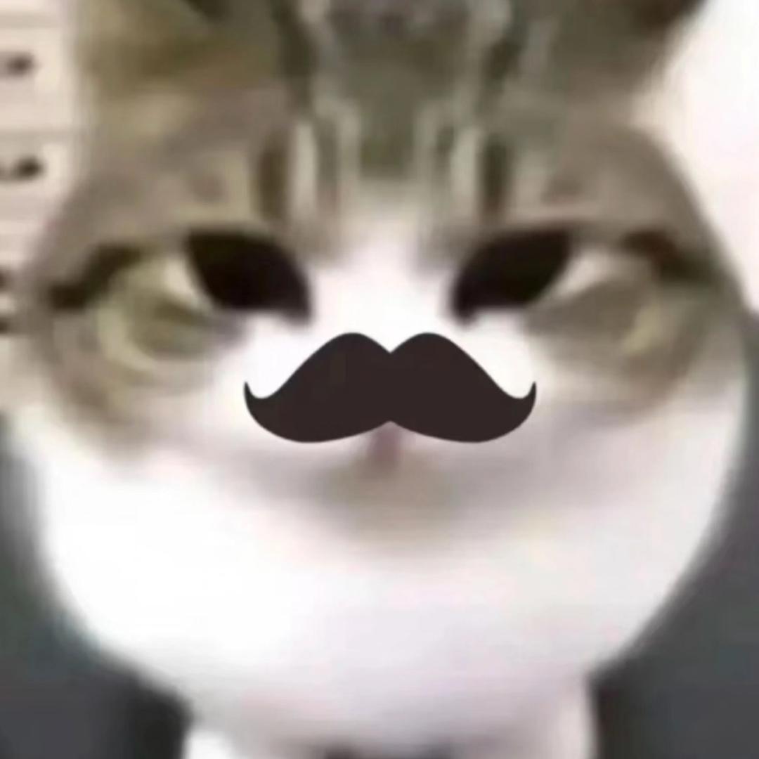 妹买熊