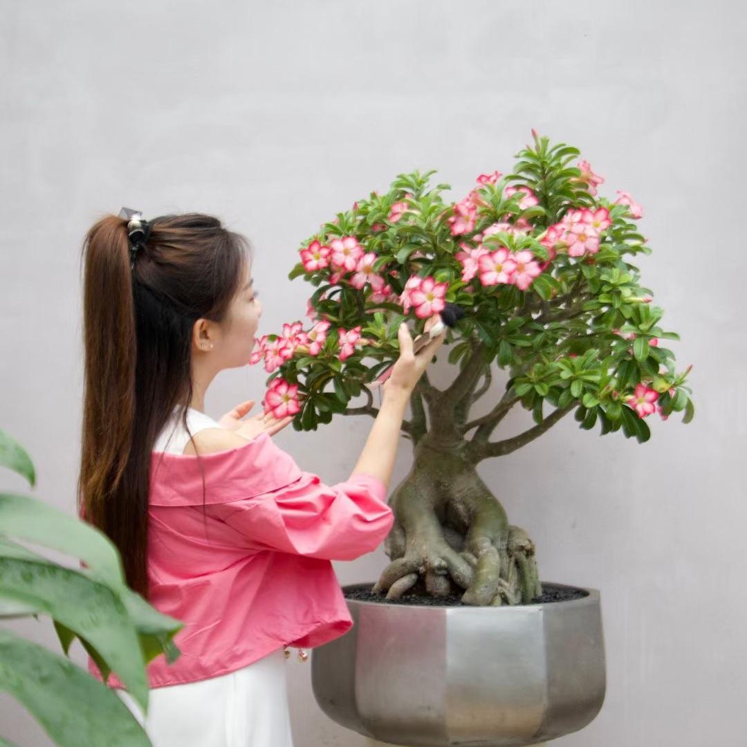 郑在挣钱针织品