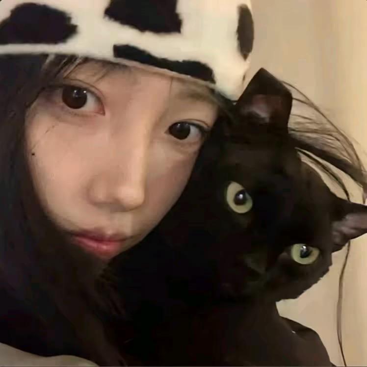 ㅤㅤㅤㅤㅤㅤㅤㅤㅤㅤㅤㅤㅤㅤㅤㅤㅤㅤ歆的