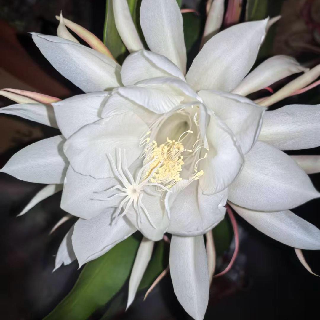 露露的优选小铺