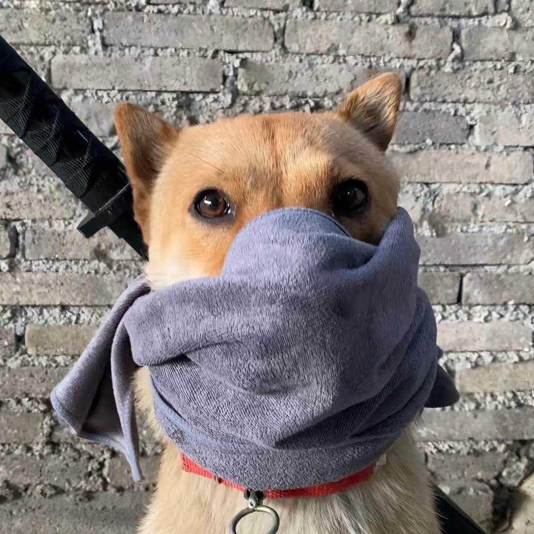爱在西元前