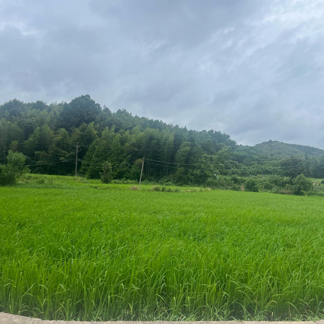 锂电池 储能工厂