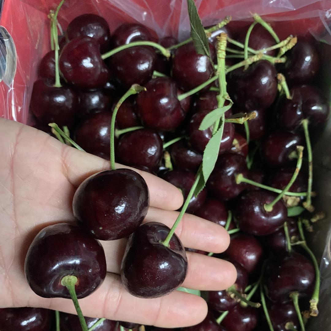 苏亿鲜水果旗舰店