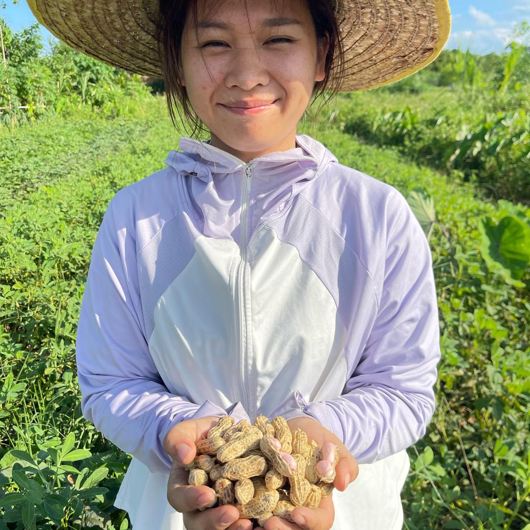 传承农家水煮花生