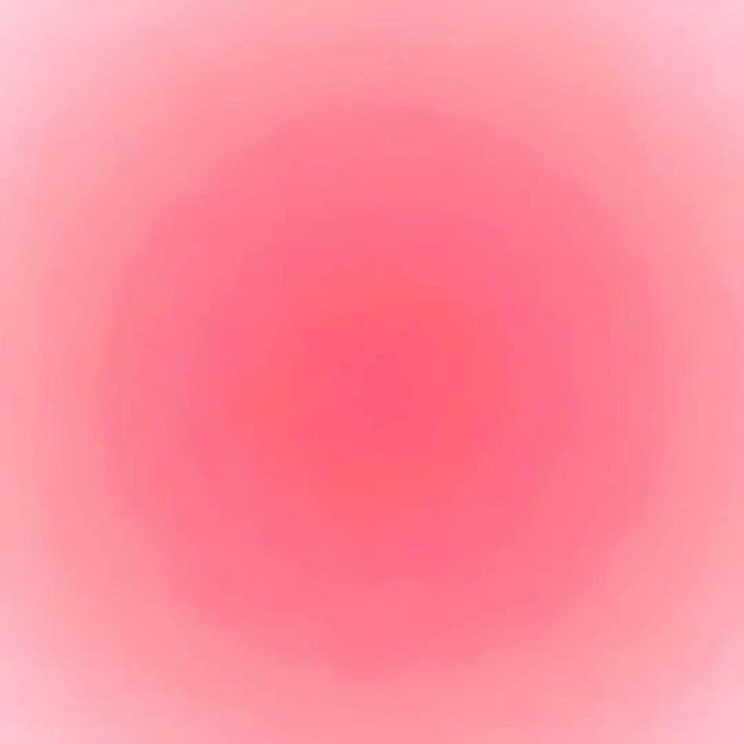 猫无忧网络科技