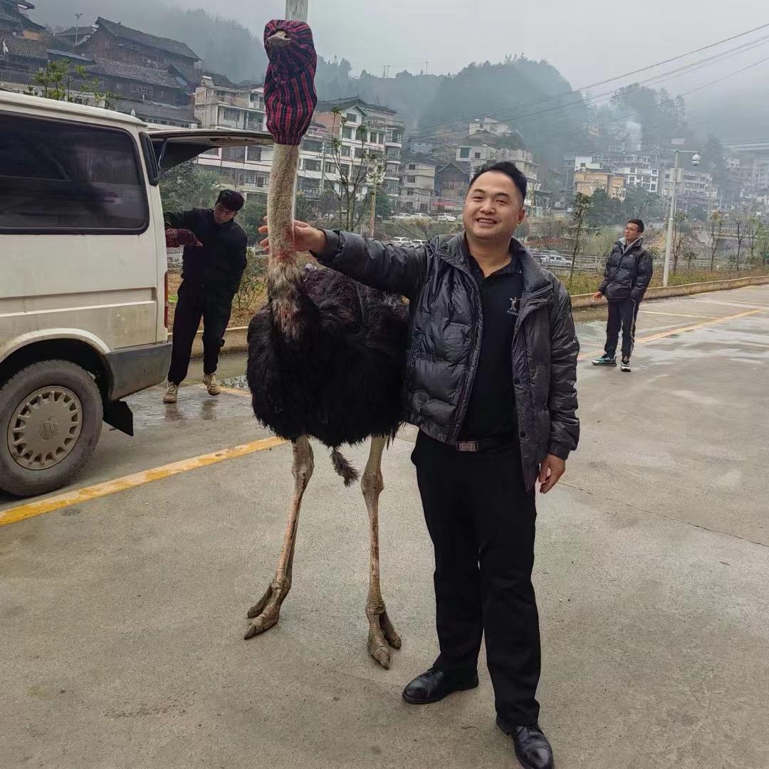 李哥…………🪲