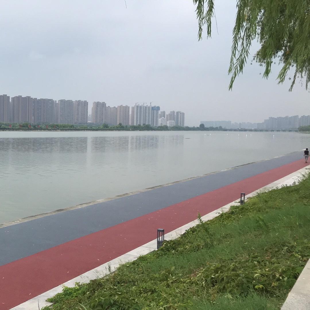 狼行天下