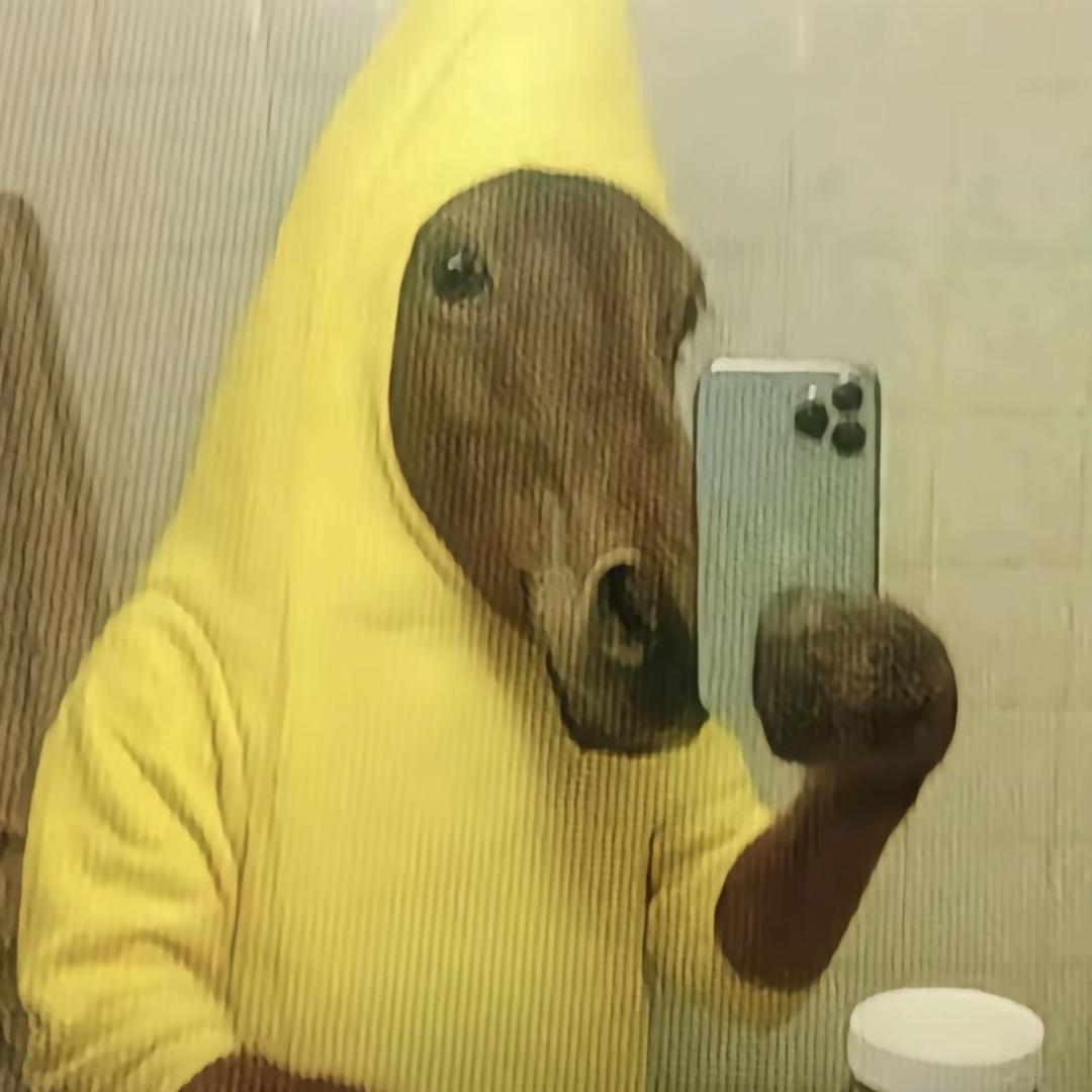噜噜豚