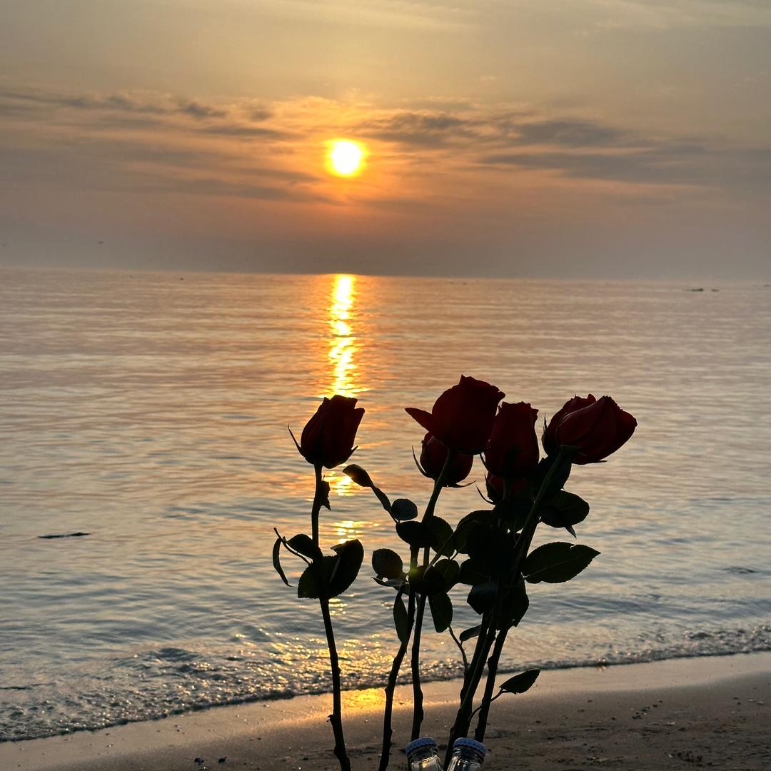 石家庄增乾商贸有限公司