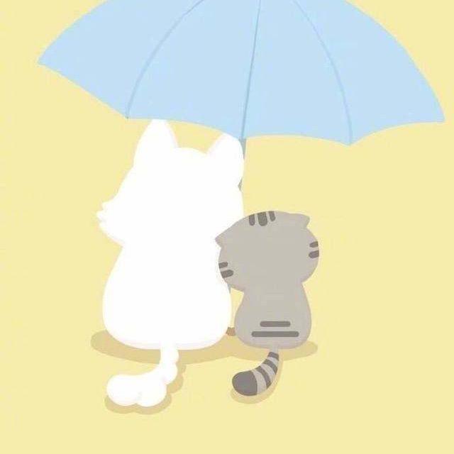 雪晨💕