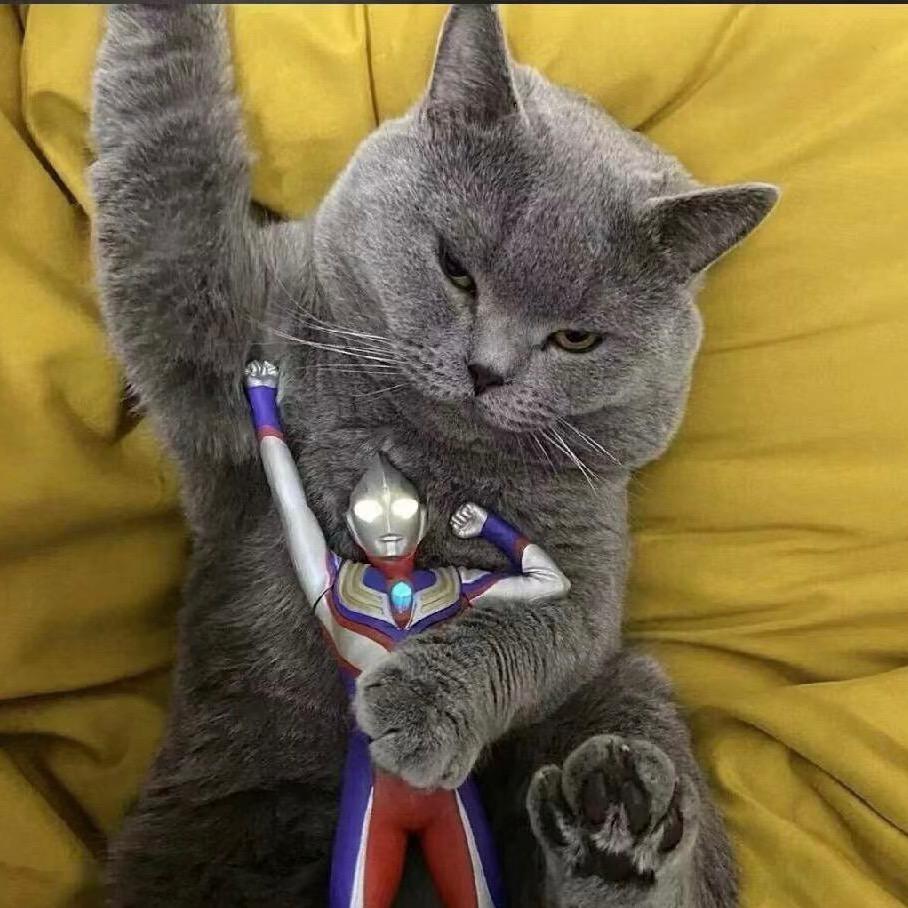 p.