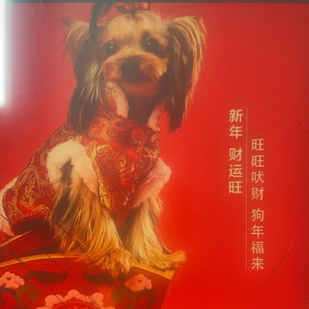 开心一天