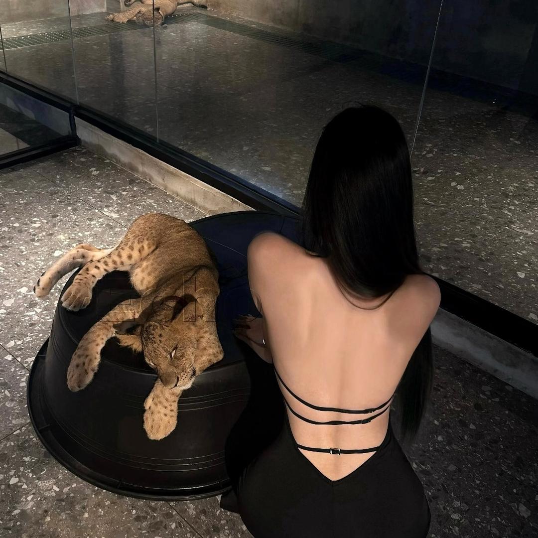 ʳʸ·
