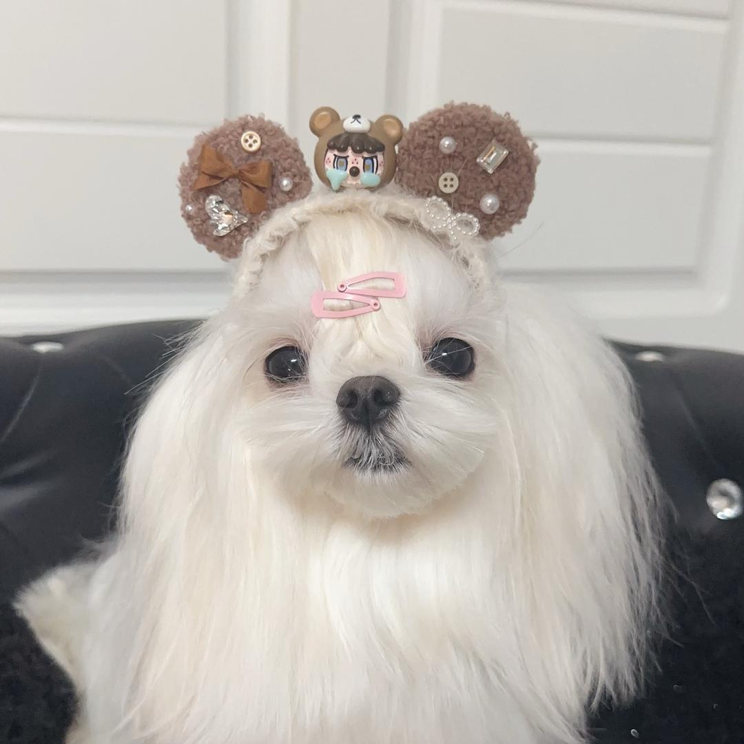 S家萌宠创意小铺