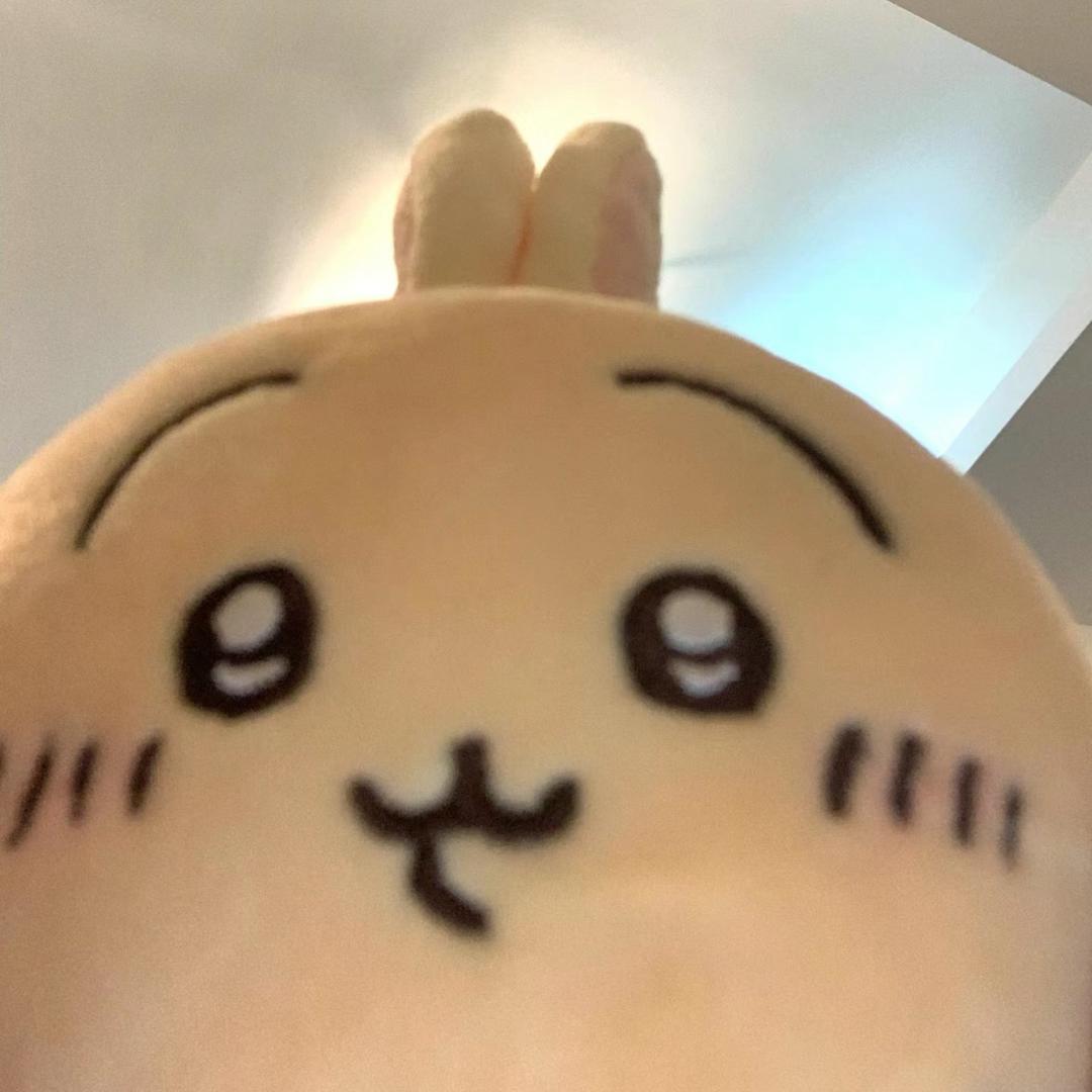 牛角包包
