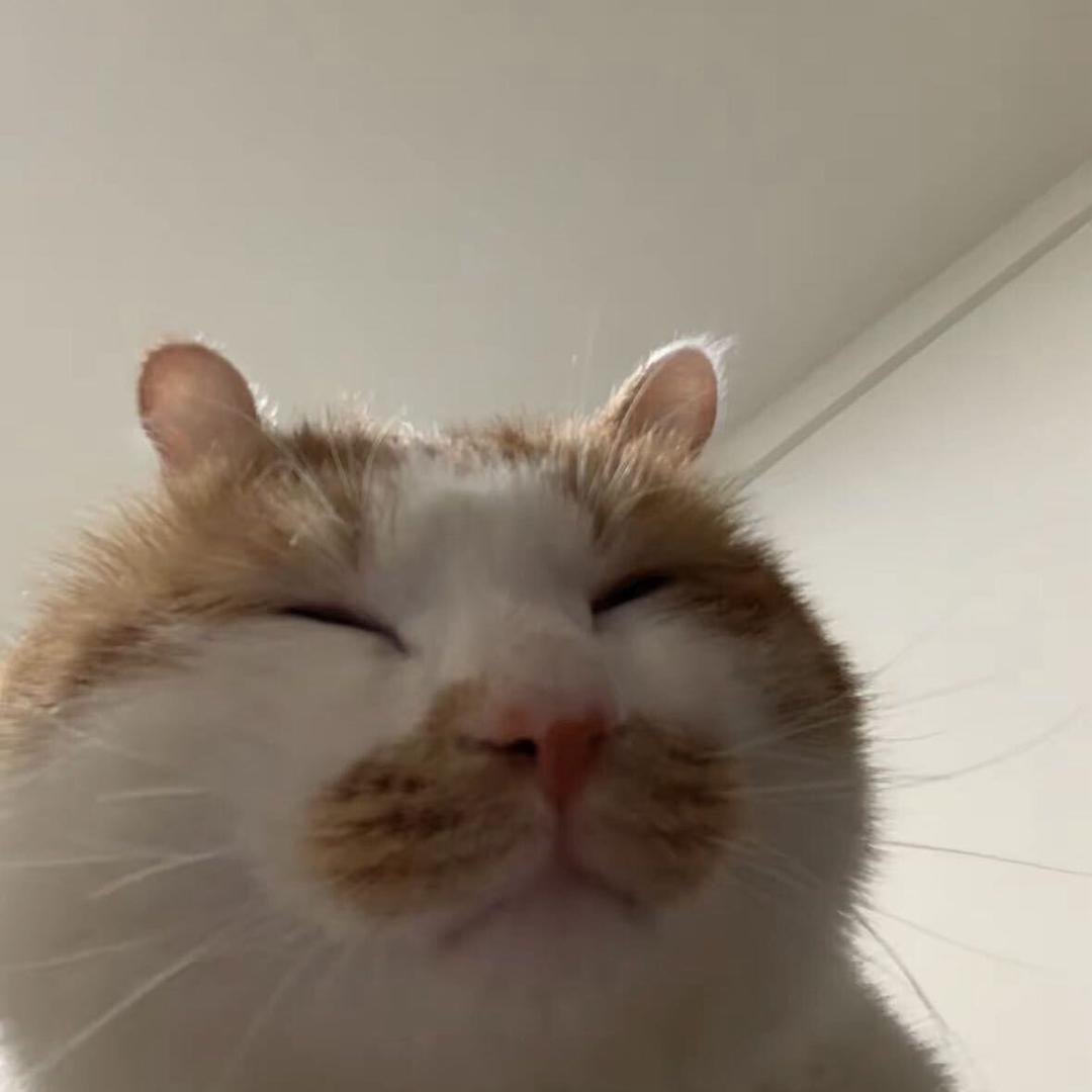 睡眠不族📷