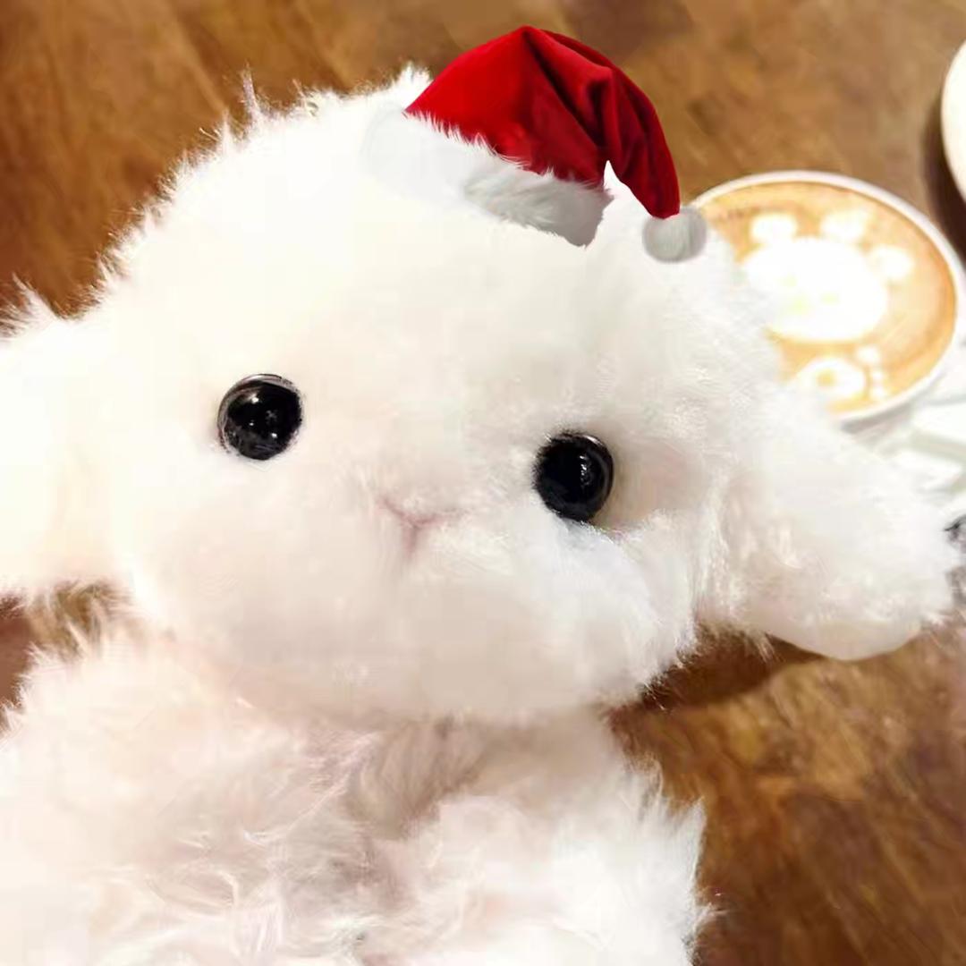 羊的本本（助眠直播版