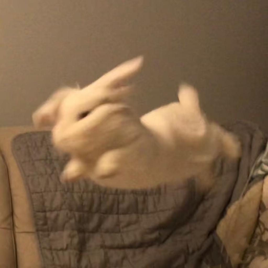 吐司泡泡🫧