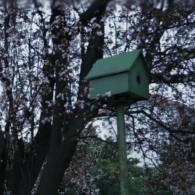 都喝西北风北京