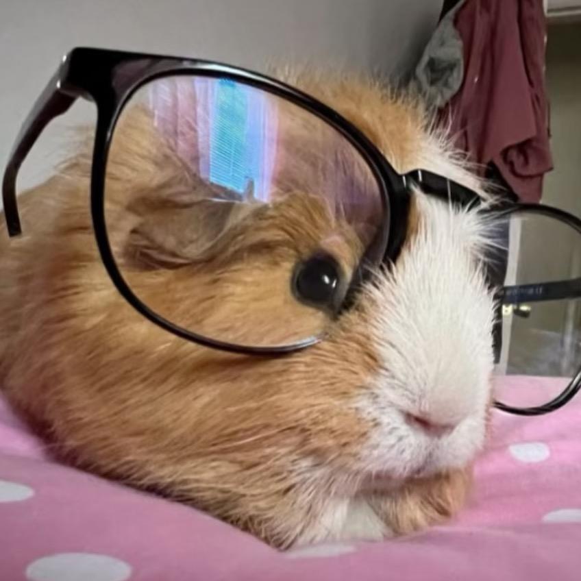 仓仓妈妈在这里