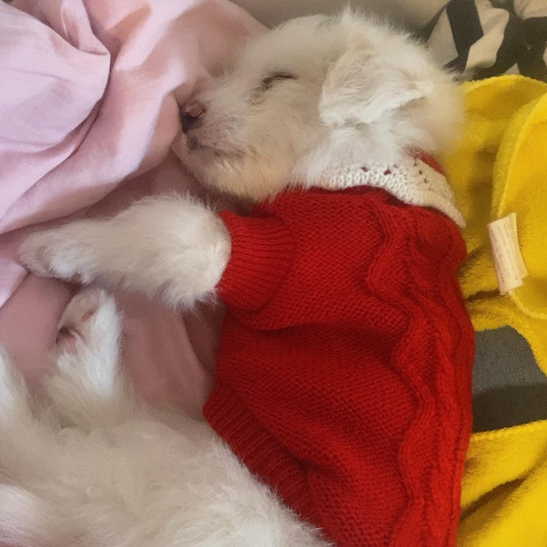 🌈辉辉💋
