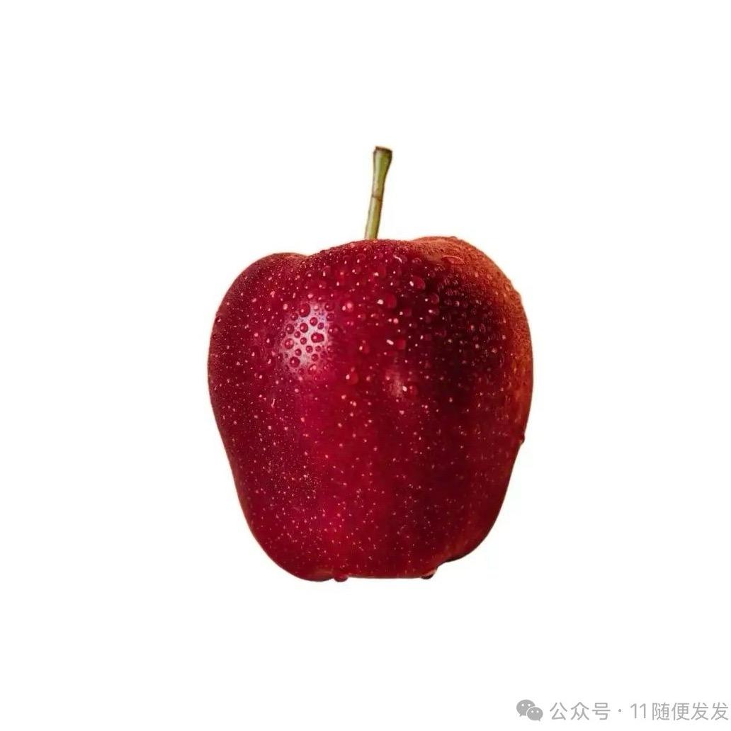 xixi
