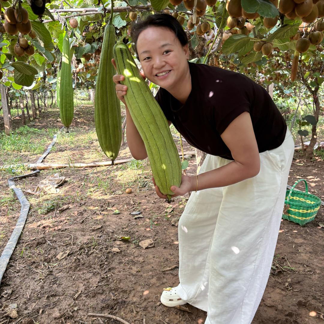 乡愁～歌儿娃（积极涨粉中）