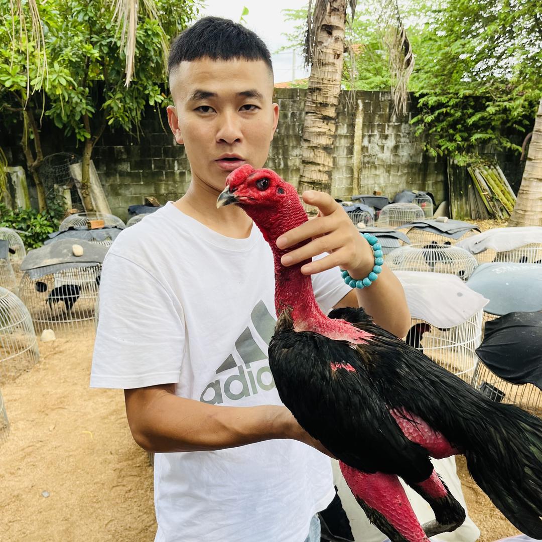 啊文斗鸡：质检产品（个体工商户）
