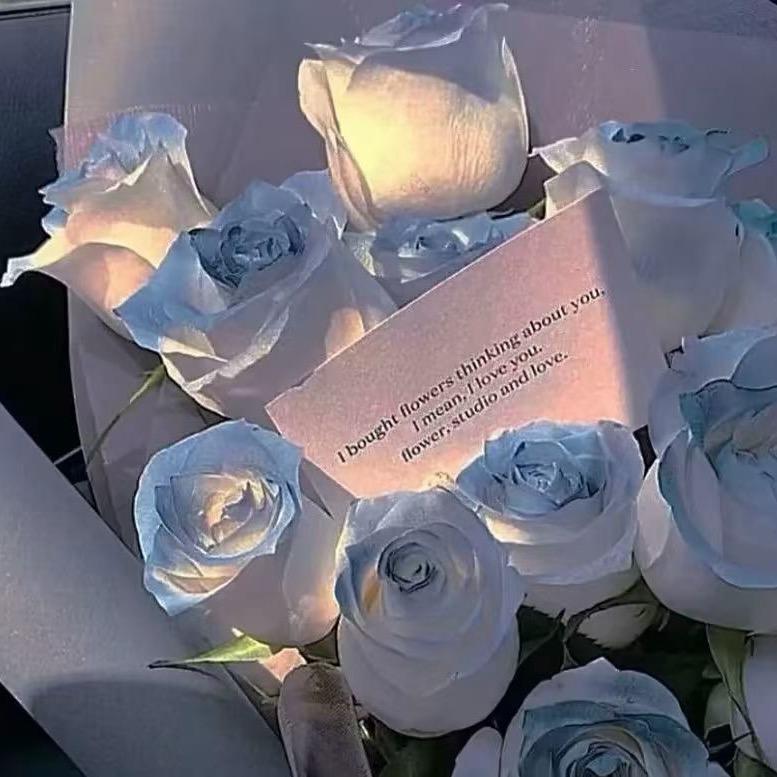 森屿暖树小小正