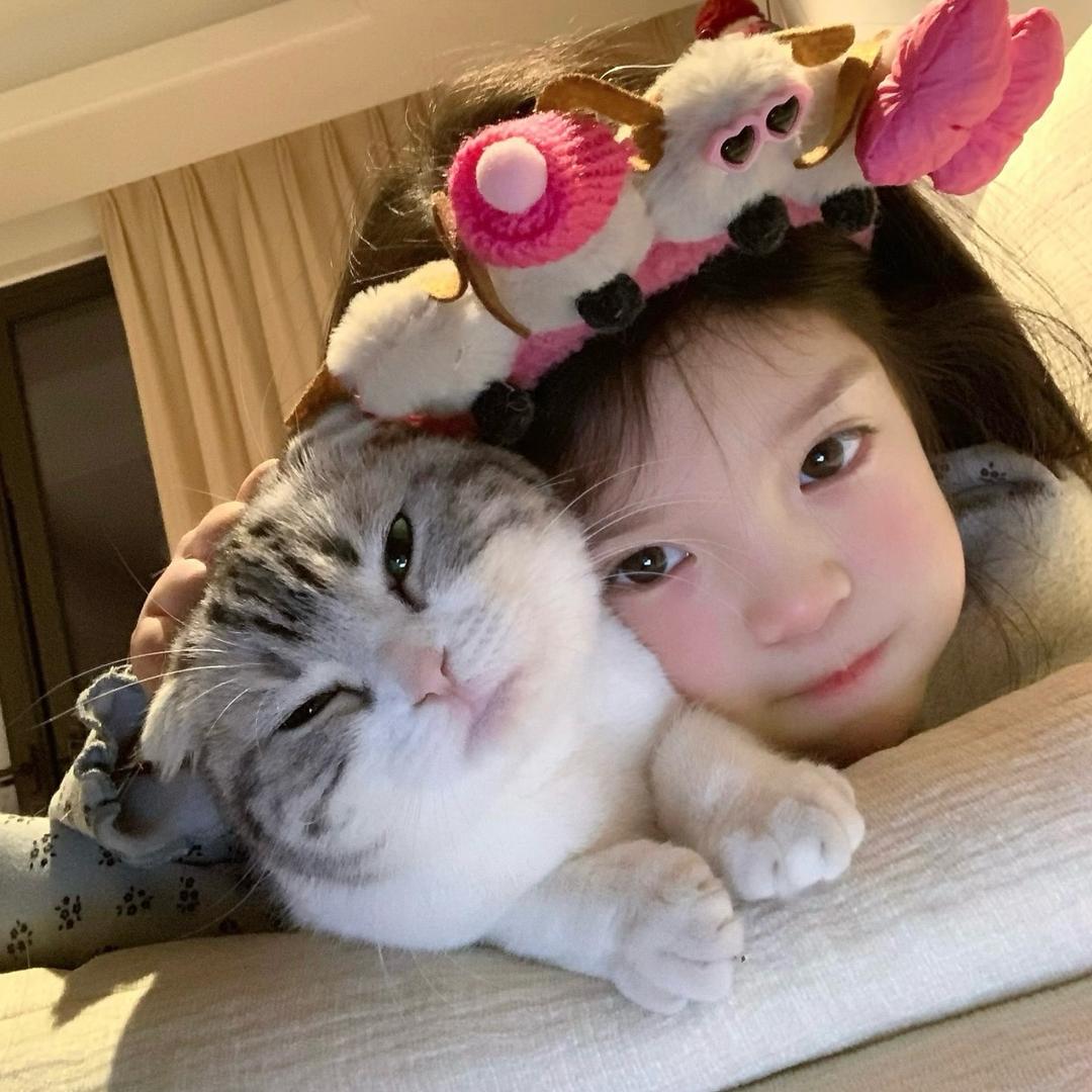 陳•