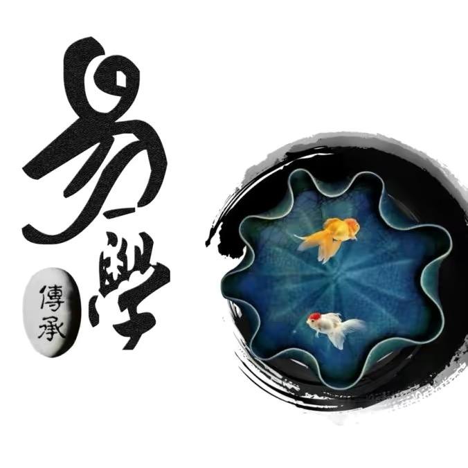 莫师助理