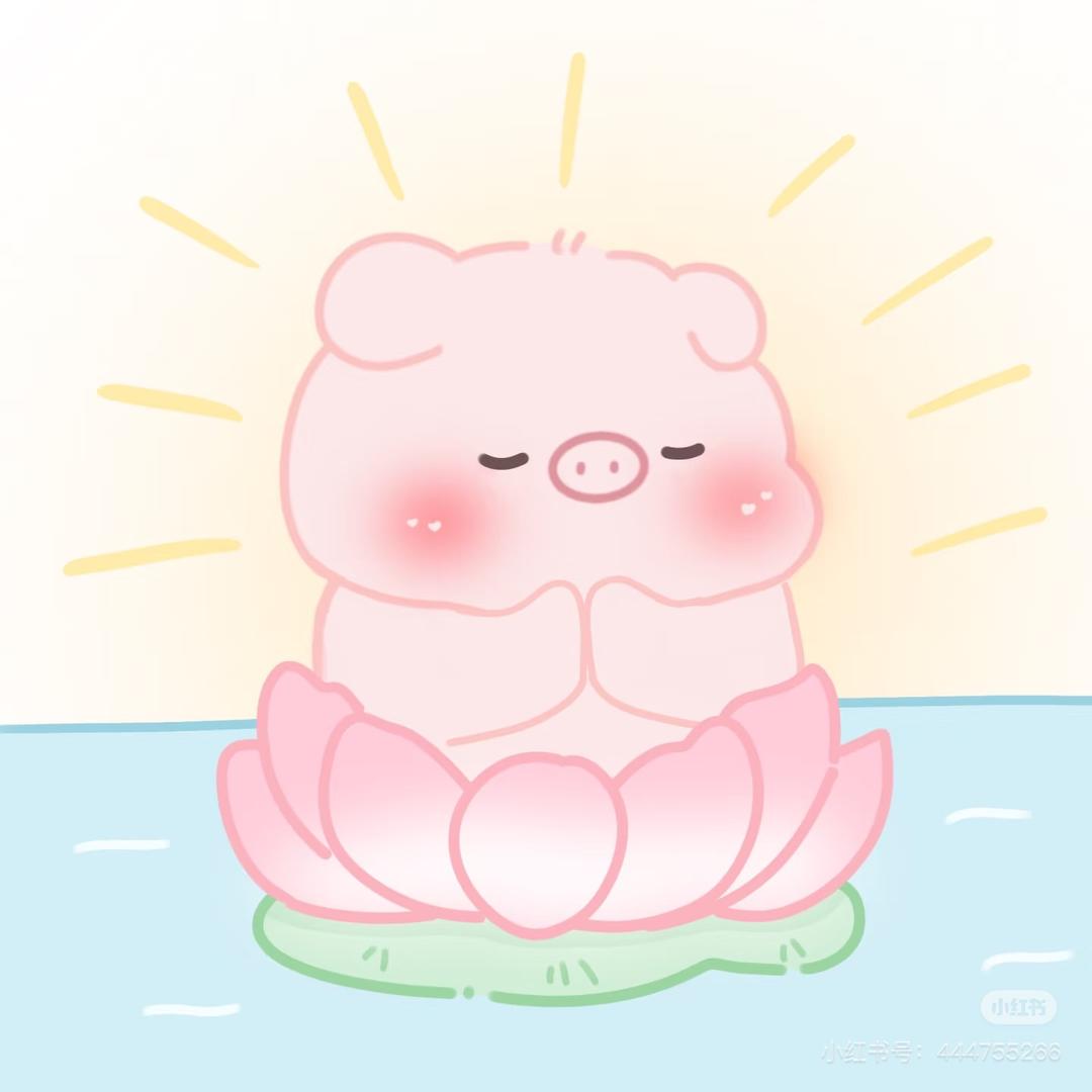 猪小猪