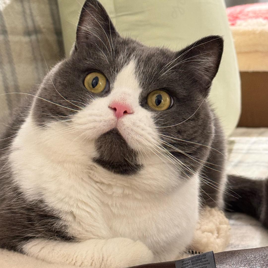 小姜快乐屋@抖音