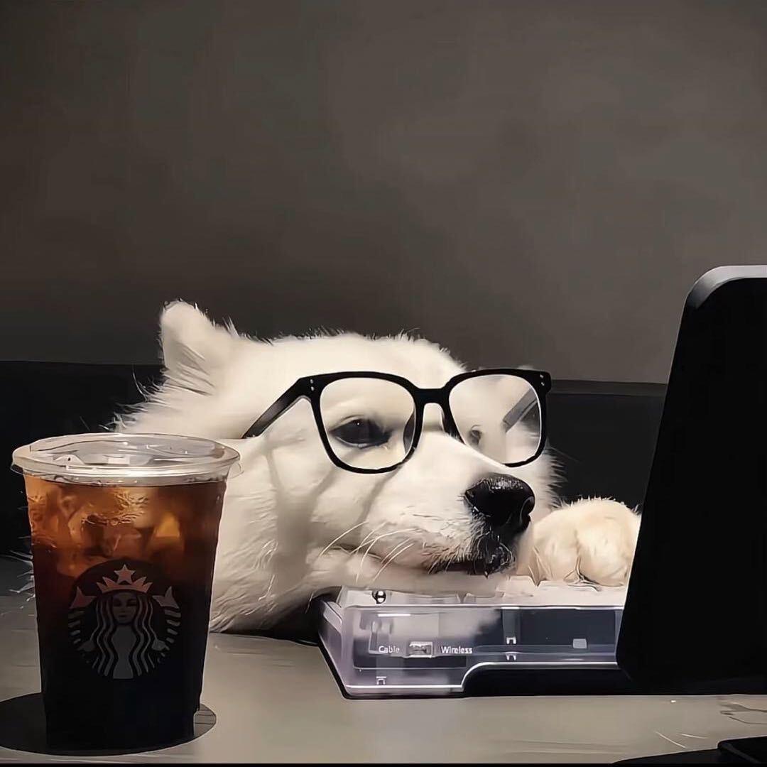 𝓢𝓽𝓪𝓻𝓼 💤