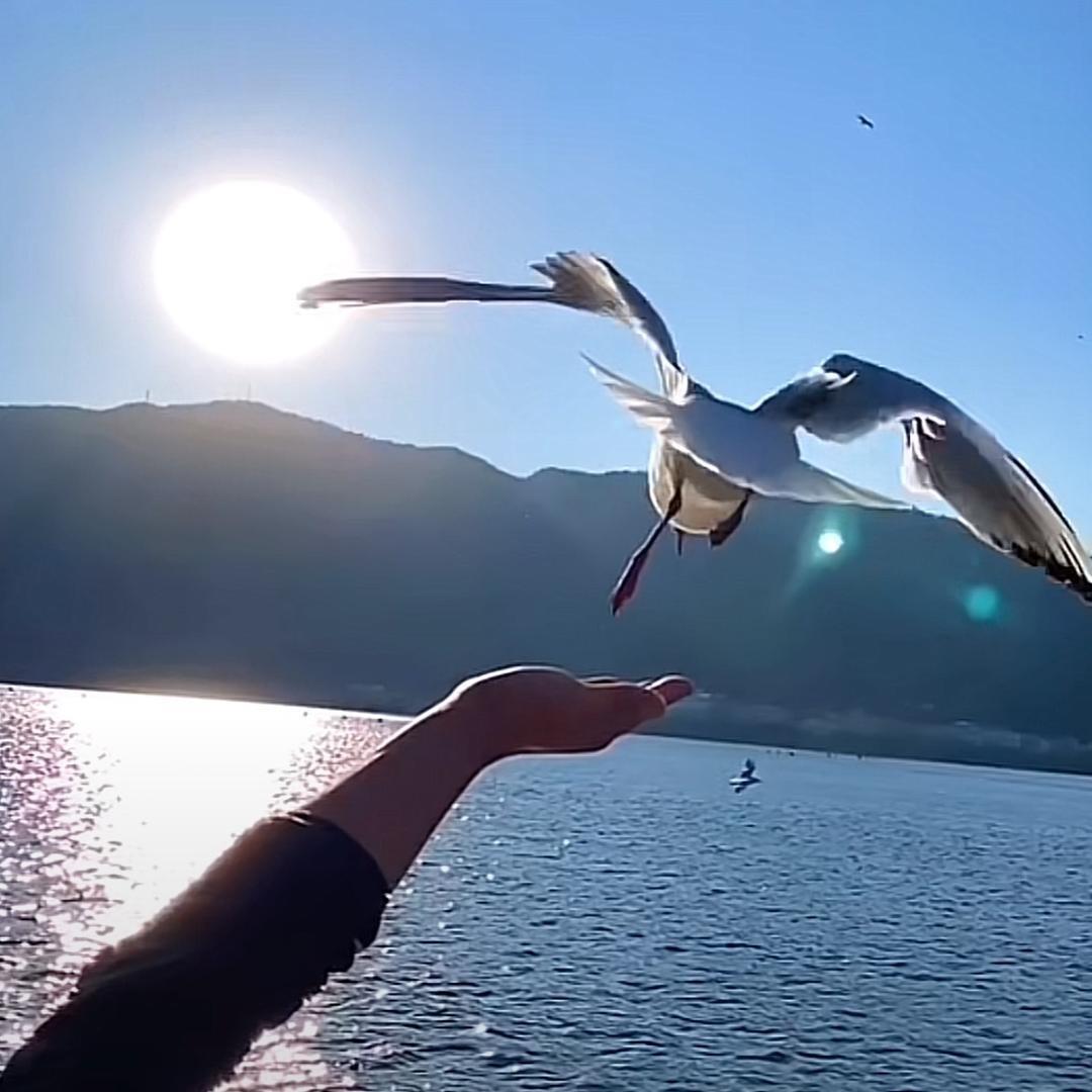 观前街邵磨针巷巴拉巴拉