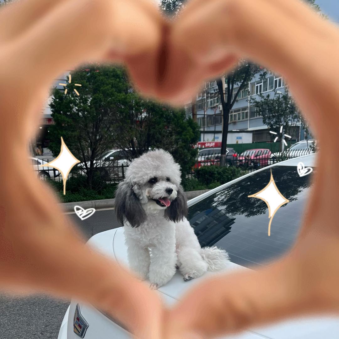 ⸜心⸝ ᮨ想 ᮨ亊 ᮨ陳 ᮨ