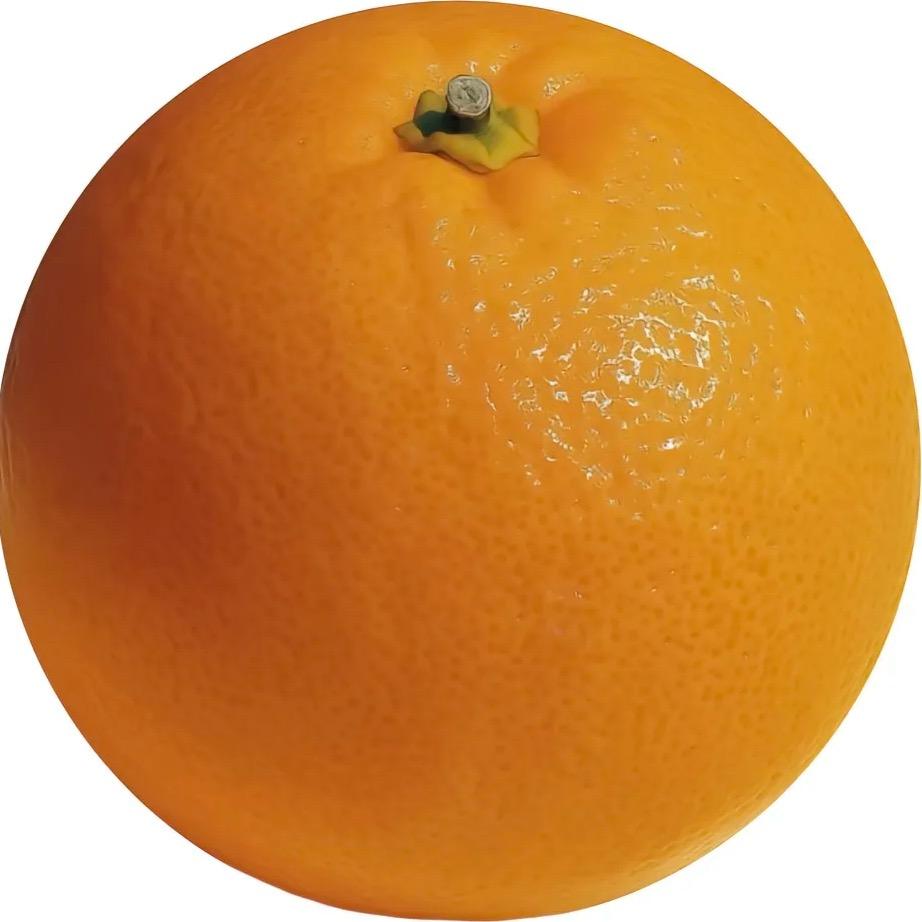 哦润鸡