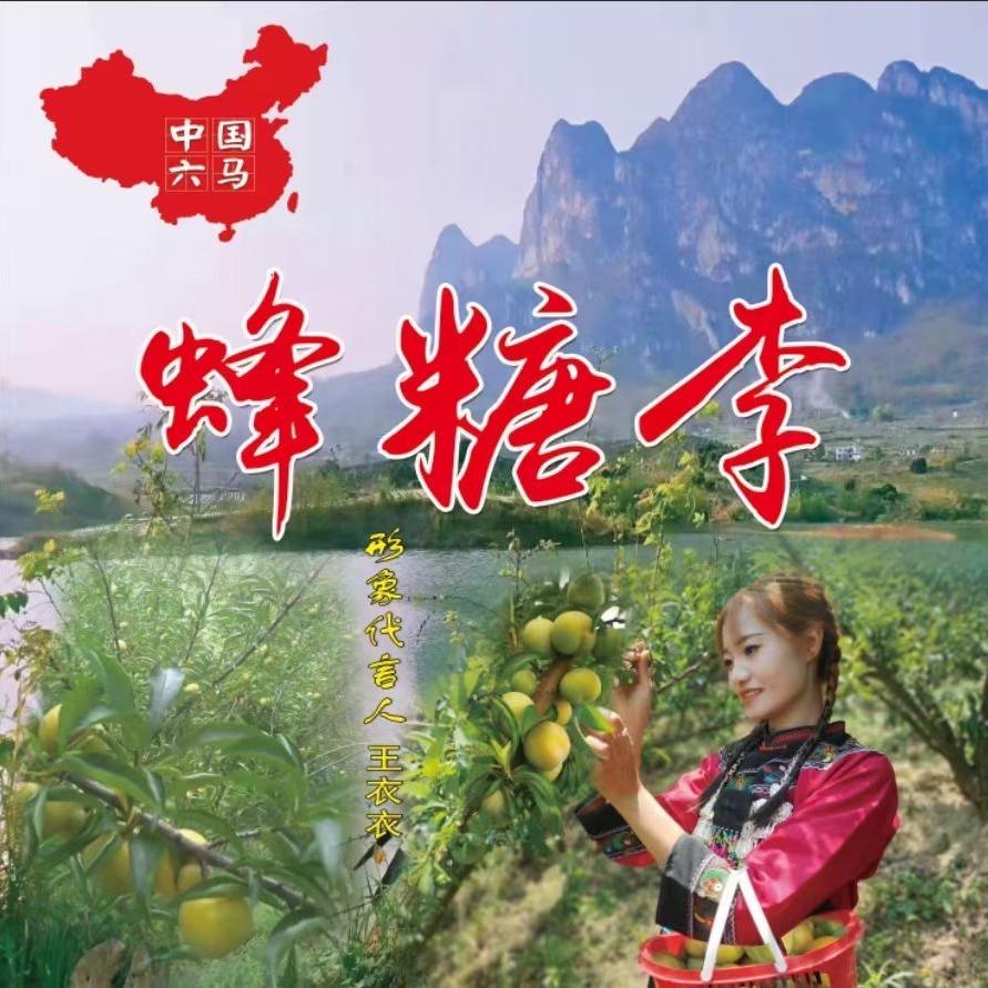 黔金李果树苗木专营店