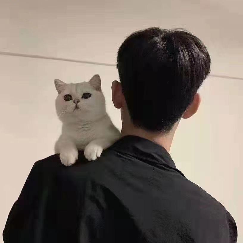 真没睡